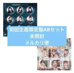 さくら様 リクエスト 2点 まとめ商品