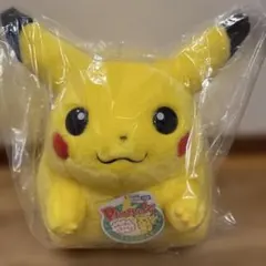 ポケモン30周年記念おかえり!ピカチュウ1/1