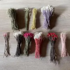 Item thumbnail for item bca8af47-d0ac-4e8e-a8e6-babe715abdc3