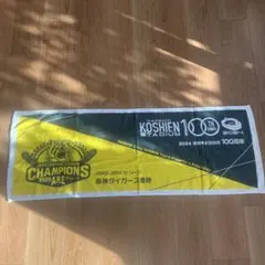 阪神タイガース100周年タオルのサムネイル