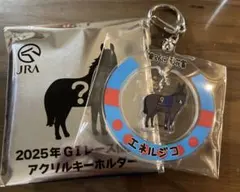 JRA ウェルカムチャンス G1レース優勝馬アクリルキーホルダー ドゥ