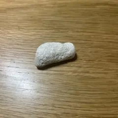 天然素材 珊瑚の欠片 ホワイト