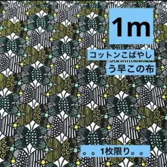 最終出品★1枚限り★コットンこばやし★う早この布★北欧　ちょうちょ　ブロード