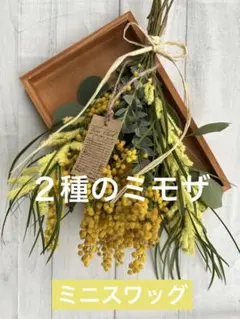 ２種のミモザ(三角葉、フロリバンダアカシア)＊ユーカリポポラスのミニスワッグ