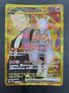 もぐもぐあざらし様 リクエスト 2点 まとめ商品