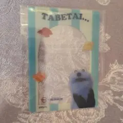 PUPPET SUNSUN スンスン スシロー コラボ限定 クリアカード