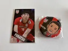 Item thumbnail for item ad4679c9-863a-49b9-899e-898c30e691c1