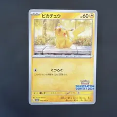 イラストレーションコンテスト 2024 PROMO ピカチュウ 6枚 ピカチュウ：イラストレーションコンテスト 2024 PROMO SV-Pプロモ