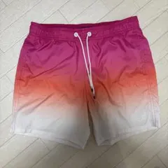 HOLLISTER ホリスター　水着　メンズ