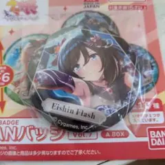 ウマ娘 CANバッチ Vol.7 A エイシンフラッシュ2点セット - メルカリ