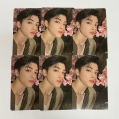 &TEAM MAKI マキ 雪明かり 通常版 トレカ6枚セット