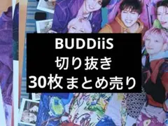 BUDDiiS 雑誌切り抜き 24枚 まとめ売りのサムネイル