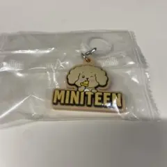 SEVENTEEN MINITEEN ガチャガチャ　DK