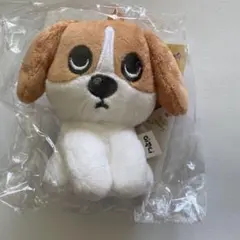 2025年最新】チャンソプ ぬいぐるみの人気アイテム - メルカリ