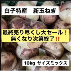 白子産　新玉ねぎ　10kg【サイズお任せ】送料込みのサムネイル