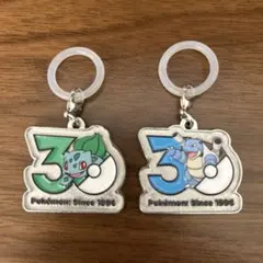 ポケモン30周年 メタルチャームマスコット ガチャ 2点セット
