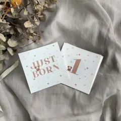 Item thumbnail for item 0591f4ca-4f05-478d-82e3-d69724964dca