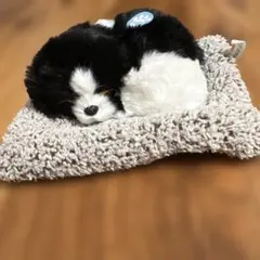 ゆめみるすやすやわんこ　ジョン　こいぬのぬいぐるみ