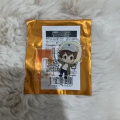 リボーン ジャンプフェスタJF 匣アニマル アクリルスタンド アクスタ 沢田綱吉 リボーン ジャンプフェスタJF 匣アニマル アクリルスタンド アクスタ