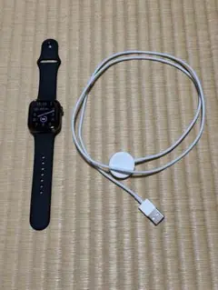 777様専用】AppleWatch 11 42mmナチュラルチタニウム - メルカリ