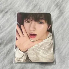 steady トレカ　サクヤ