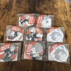 ハイキュー！！　日向翔陽　缶バッジ　ゴミ捨て場の決戦