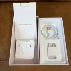 本体無し　Apple iPhone 純正付属品セット