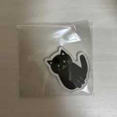 NCTWISH オンラインくじ リク,リョウ　アクリルステッカー