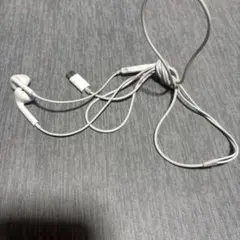 ホワイト 有線イヤホン USBタイプC