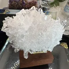 菊花水晶♡浄化強♡透明度♡No.2324