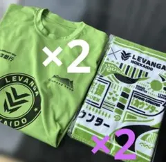 新品未使用レバンガ北海道 オープニングTシャシャツ開幕 タオル付き 計4枚