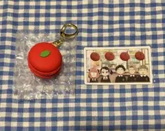 SPY×FAMILY USJ コレクタブル マカロン