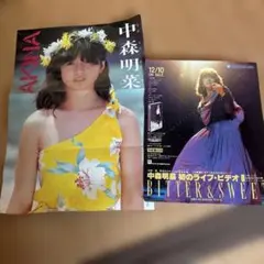 中森明菜　ポスター　チラシ　昭和レトロ