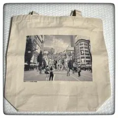 Item thumbnail for item d36d6177-bd6e-41d1-a0bd-8a37a5359035