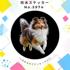 tottochan様 リクエスト 2点 まとめ商品