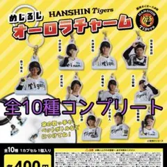 a.様専用　阪神タイガース　見じるしオーロラチャーム　全10種コンプリート