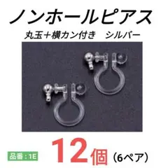 ノンホールピアス イヤリング