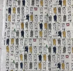 コットンリネン