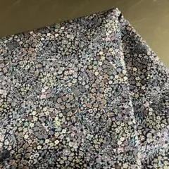リバティ♪タナローン『リトル・マーカス』Little Marquess 4m