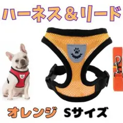 Item thumbnail for item 9008c067-b373-4616-a119-e041ce8afebe