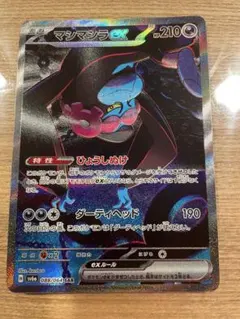 ポケモンカード　マシマシラ、タロ　セット