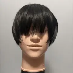 未使用タグ付き】フォンテーヌ フルウィッグ ショート - メルカリ