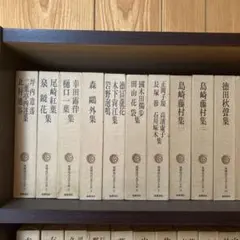新日本出版社 宮本百合子全集 1巻〜25巻 - メルカリ