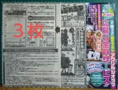 ３枚　応募用紙　別冊少年チャンピオン「if魔フィア」アクリルジオラマ　全サー