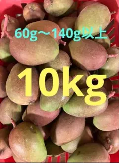 沖縄県産 摘果マンゴー 10kg 60g〜140g以上★農家直送〜★のサムネイル