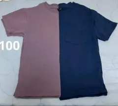 Tシャツ　2枚　100㎝のサムネイル