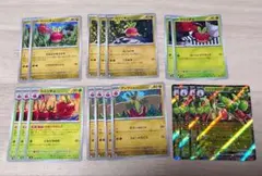 ポケモンカード カジッチュ・カミッチュ・アップリュー・カミツオロチ進化ライン