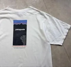 レア】着用1回｜patagonia Granite Magic Tシャツ - メルカリ