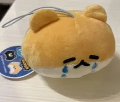 くまのまーくん&絶対に死なないハムスター　マスコットぬいぐるみ