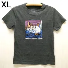ザ ノースフェイス シティ ランドマーク 半袖Tシャツ XL ボストン